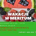 grafika wakacje w meritum